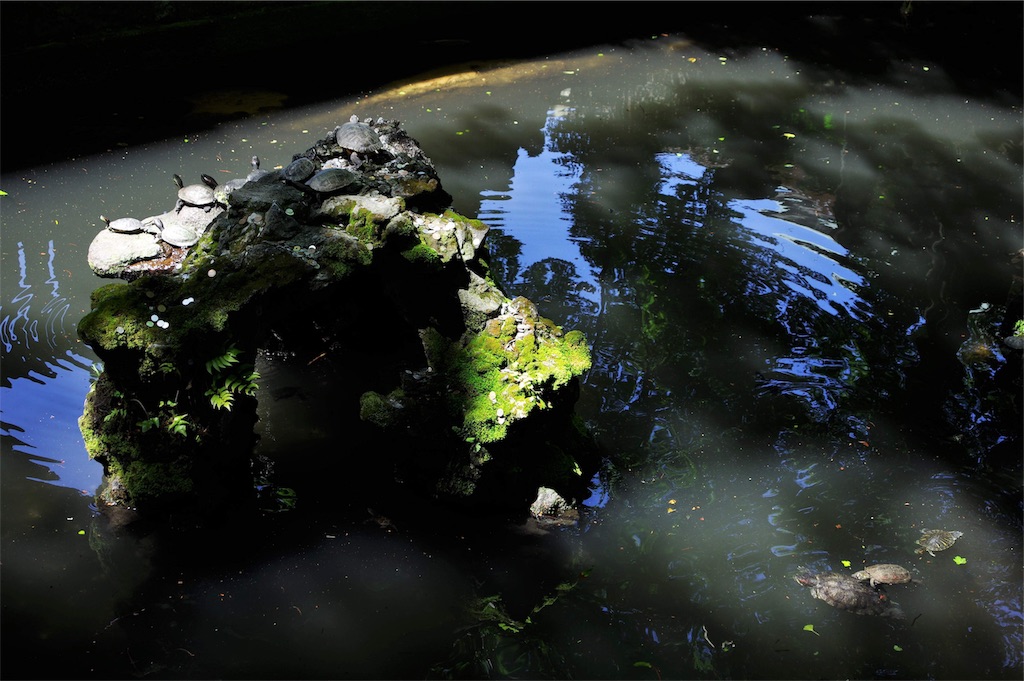 f:id:blue_rock53:20190701192125j:image