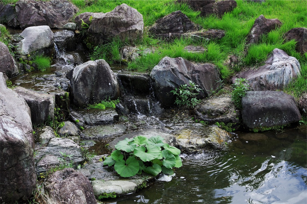 f:id:blue_rock53:20190710201301j:image