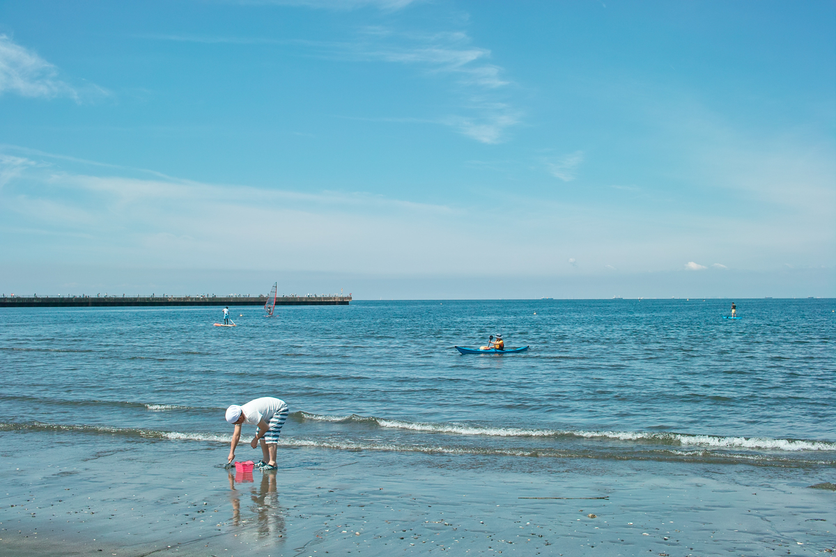 f:id:blue_rock53:20200620214407j:plain