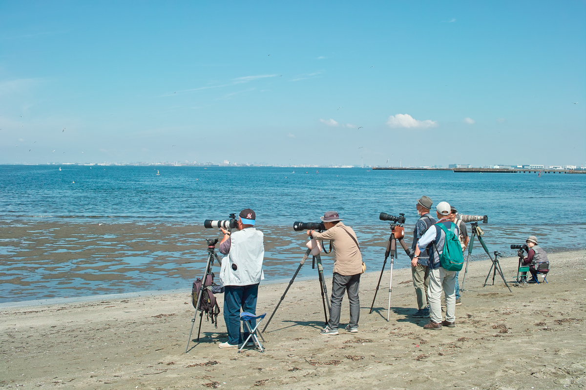 f:id:blue_rock53:20200620214447j:plain