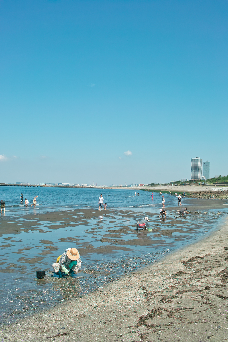 f:id:blue_rock53:20200620214643j:plain