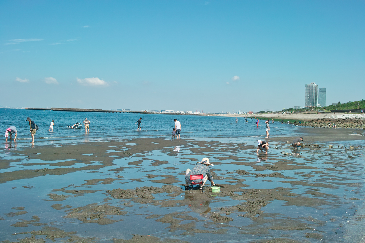 f:id:blue_rock53:20200620214703j:plain