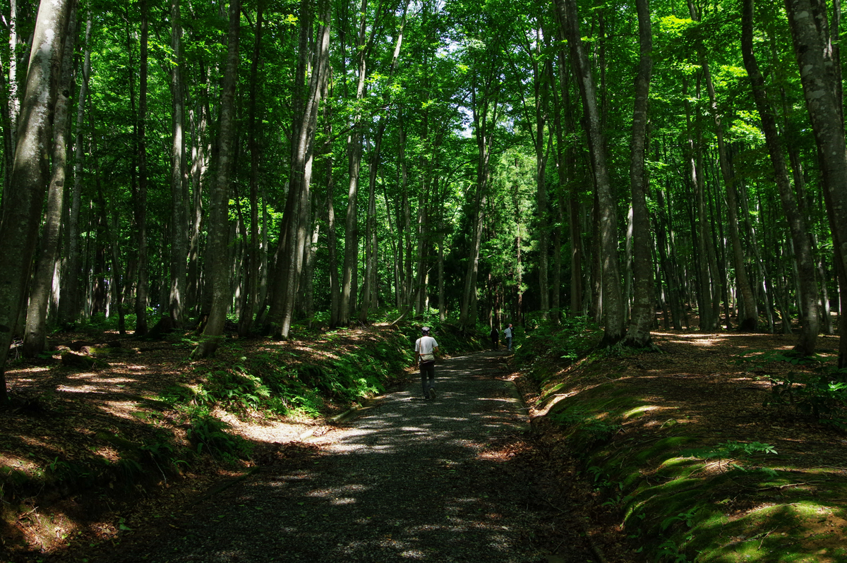 f:id:blue_rock53:20200829000744j:plain f:id:blue_rock53:20200829000744j:plain