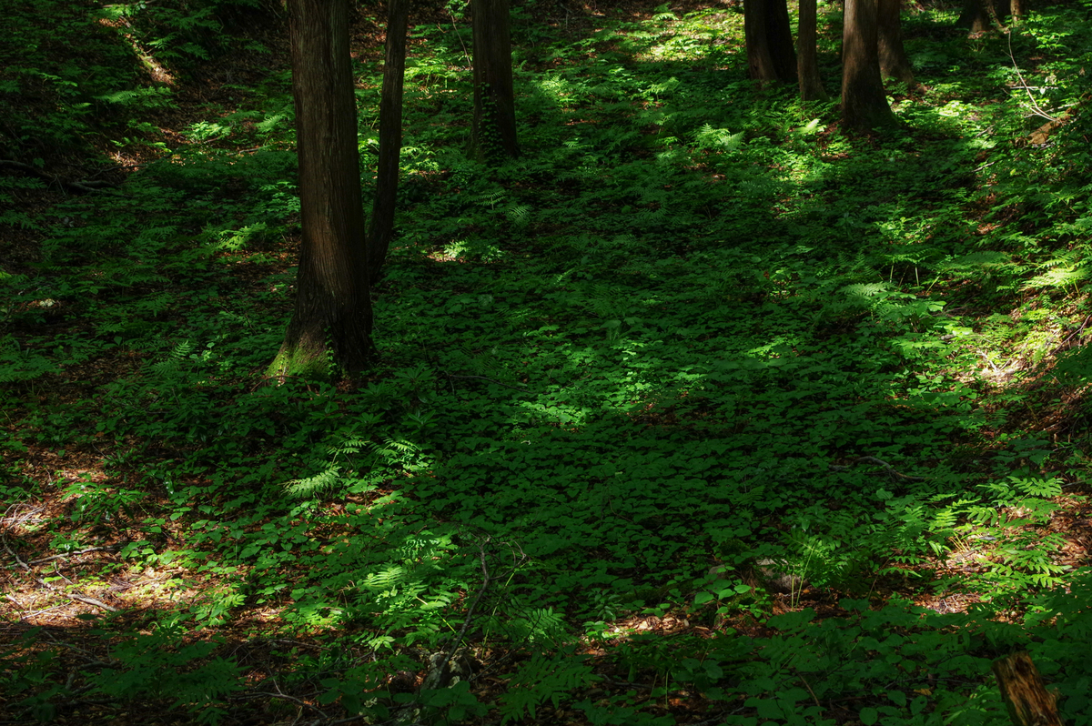 f:id:blue_rock53:20200829000819j:plain f:id:blue_rock53:20200829000819j:plain