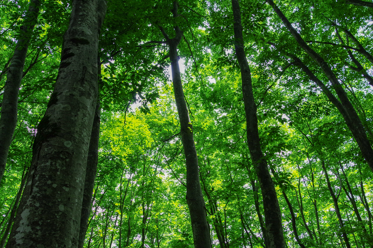 f:id:blue_rock53:20200829000827j:plain f:id:blue_rock53:20200829000827j:plain