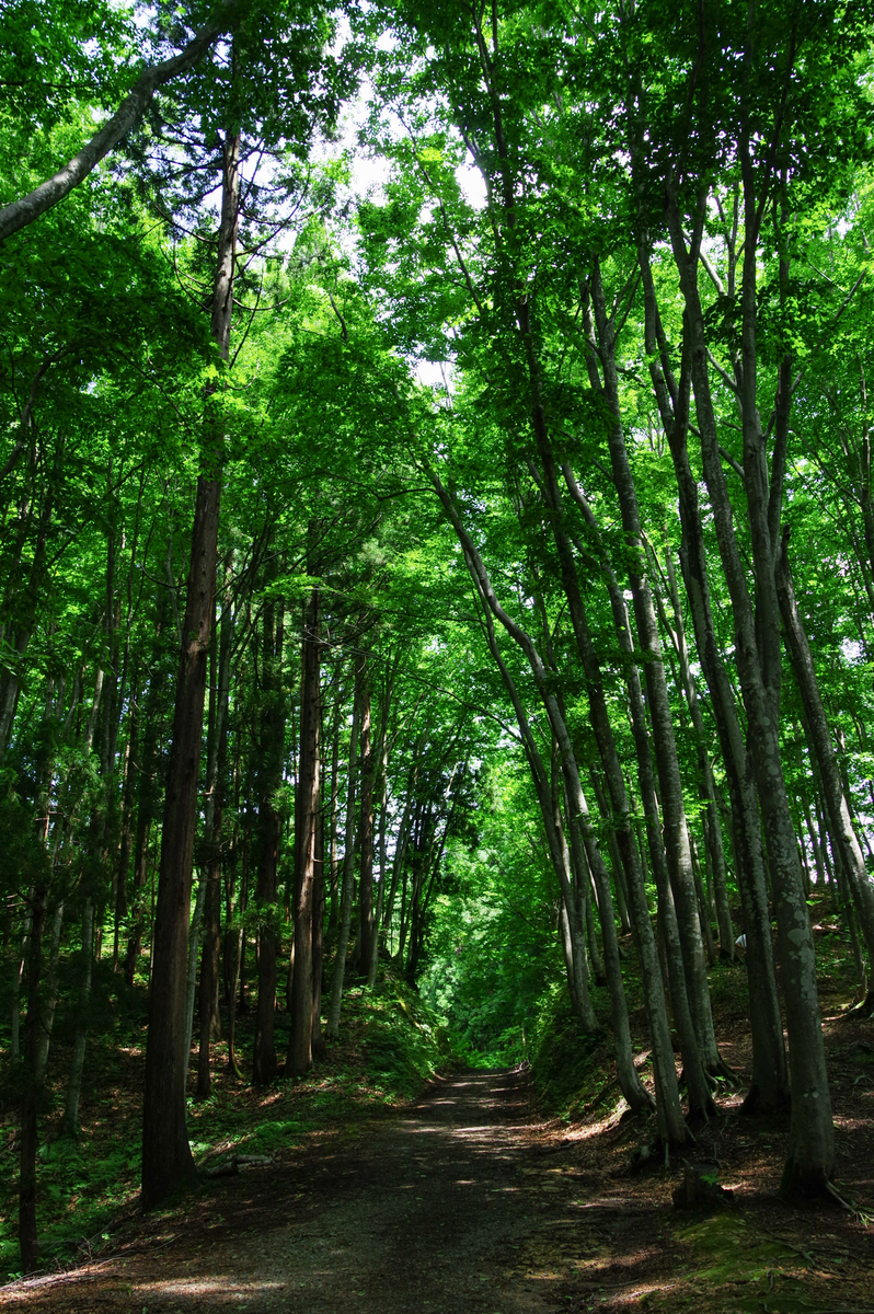 f:id:blue_rock53:20200829000834j:plain f:id:blue_rock53:20200829000834j:plain