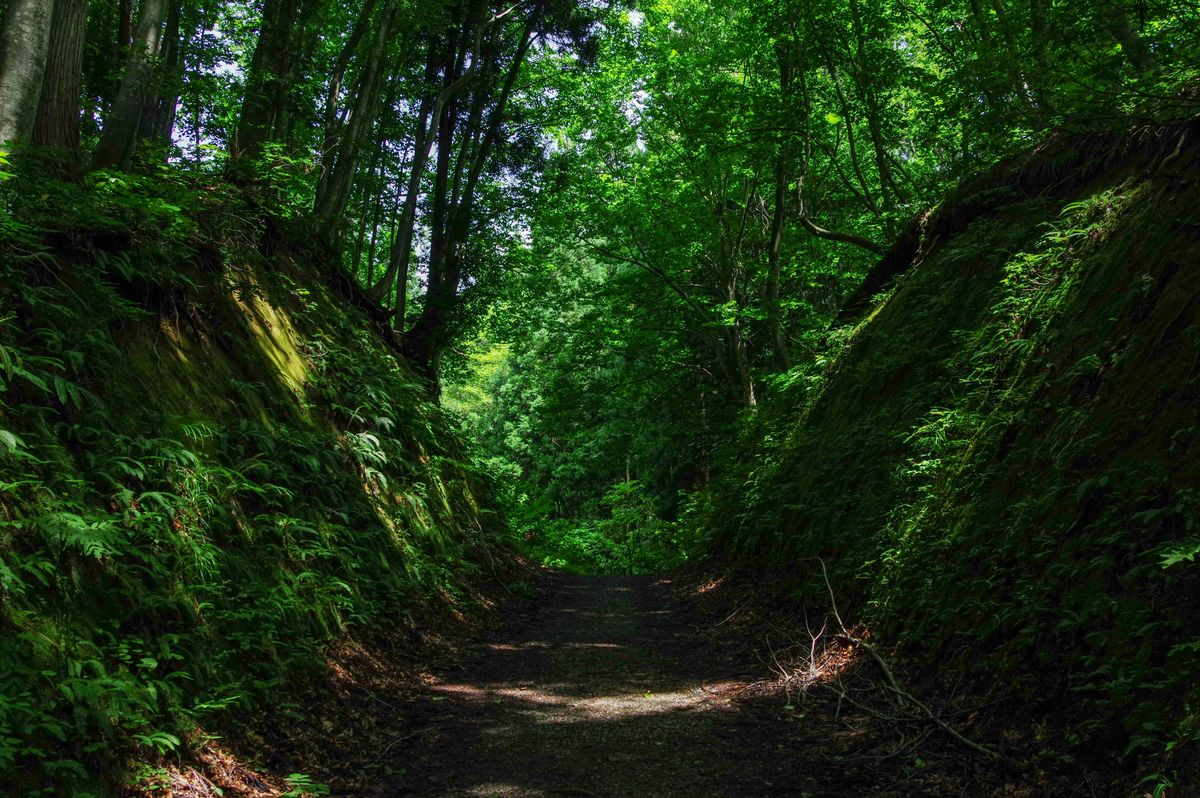 f:id:blue_rock53:20200901205447j:plain f:id:blue_rock53:20200901205447j:plain