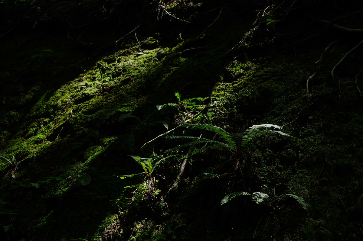 f:id:blue_rock53:20200901205526j:plain f:id:blue_rock53:20200901205526j:plain