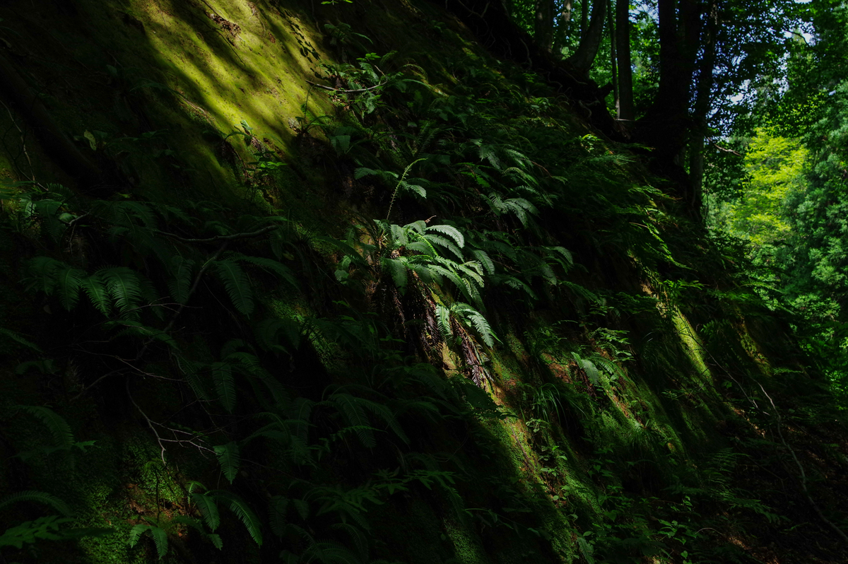 f:id:blue_rock53:20200901205531j:plain f:id:blue_rock53:20200901205531j:plain