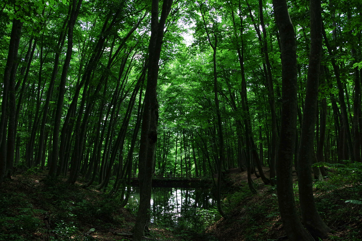 f:id:blue_rock53:20200901205641j:plain f:id:blue_rock53:20200901205641j:plain