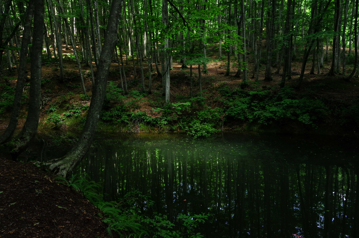 f:id:blue_rock53:20200901205743j:plain f:id:blue_rock53:20200901205743j:plain