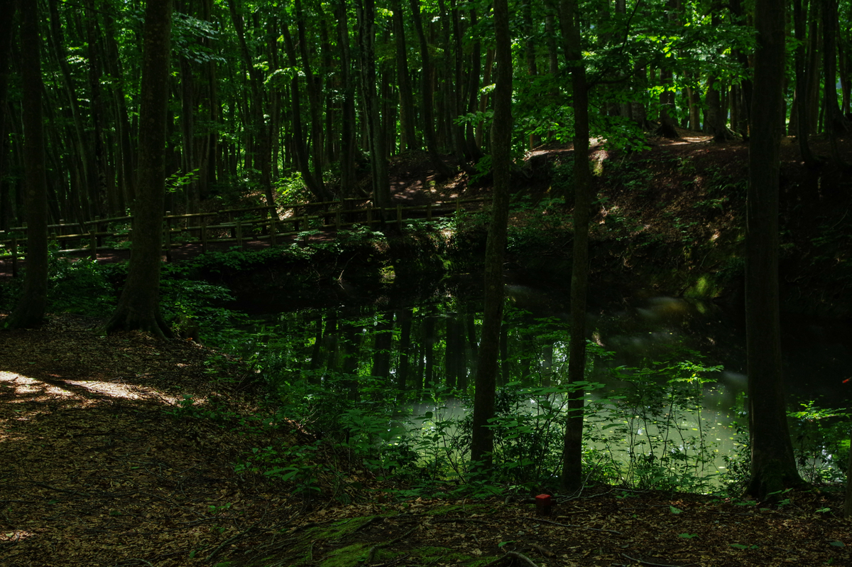 f:id:blue_rock53:20200901205751j:plain f:id:blue_rock53:20200901205751j:plain