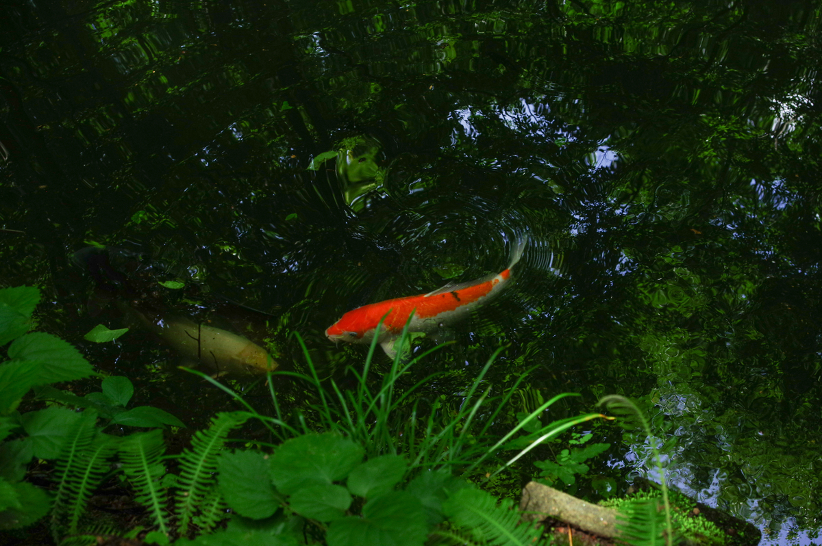 f:id:blue_rock53:20200901205821j:plain f:id:blue_rock53:20200901205821j:plain