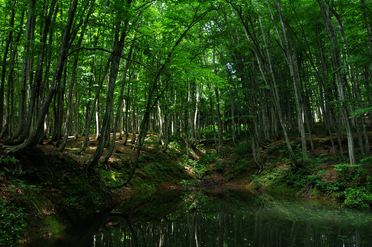 f:id:blue_rock53:20200901205842j:plain f:id:blue_rock53:20200901205842j:plain