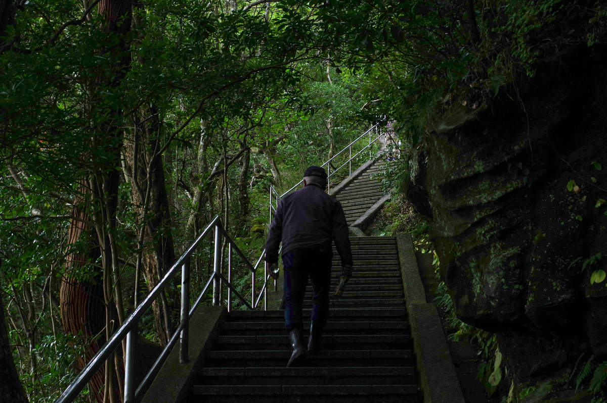 f:id:blue_rock53:20201130213618j:plain