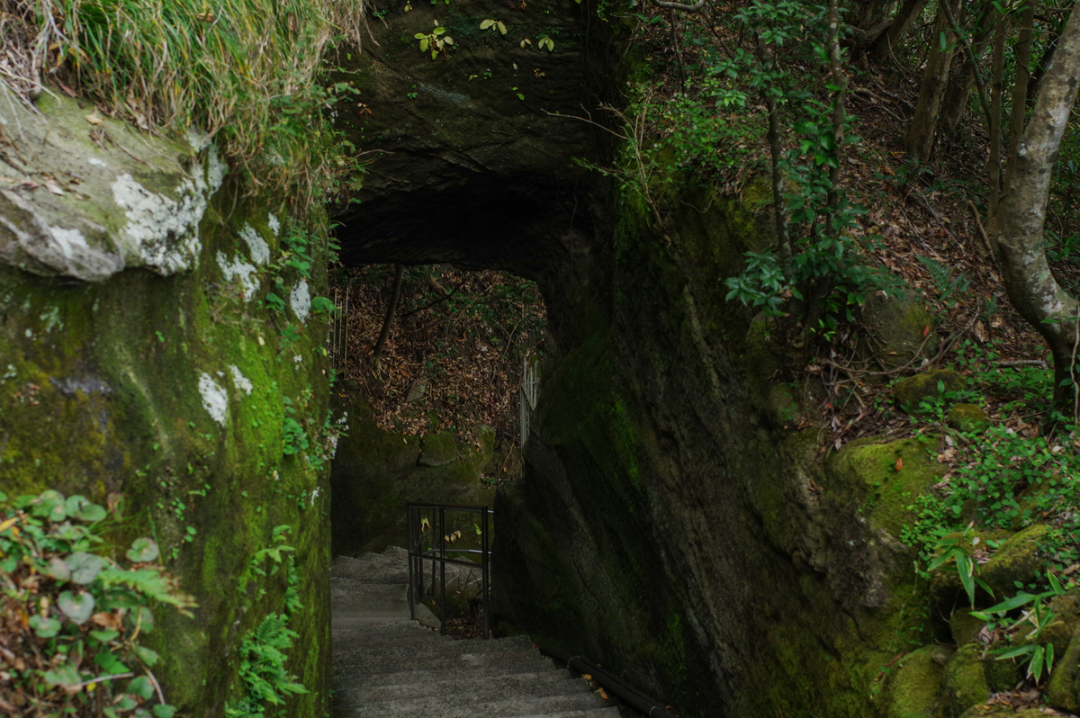 f:id:blue_rock53:20201130213656j:plain