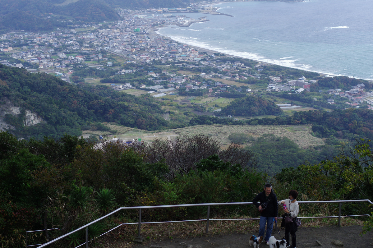 f:id:blue_rock53:20201130213954j:plain