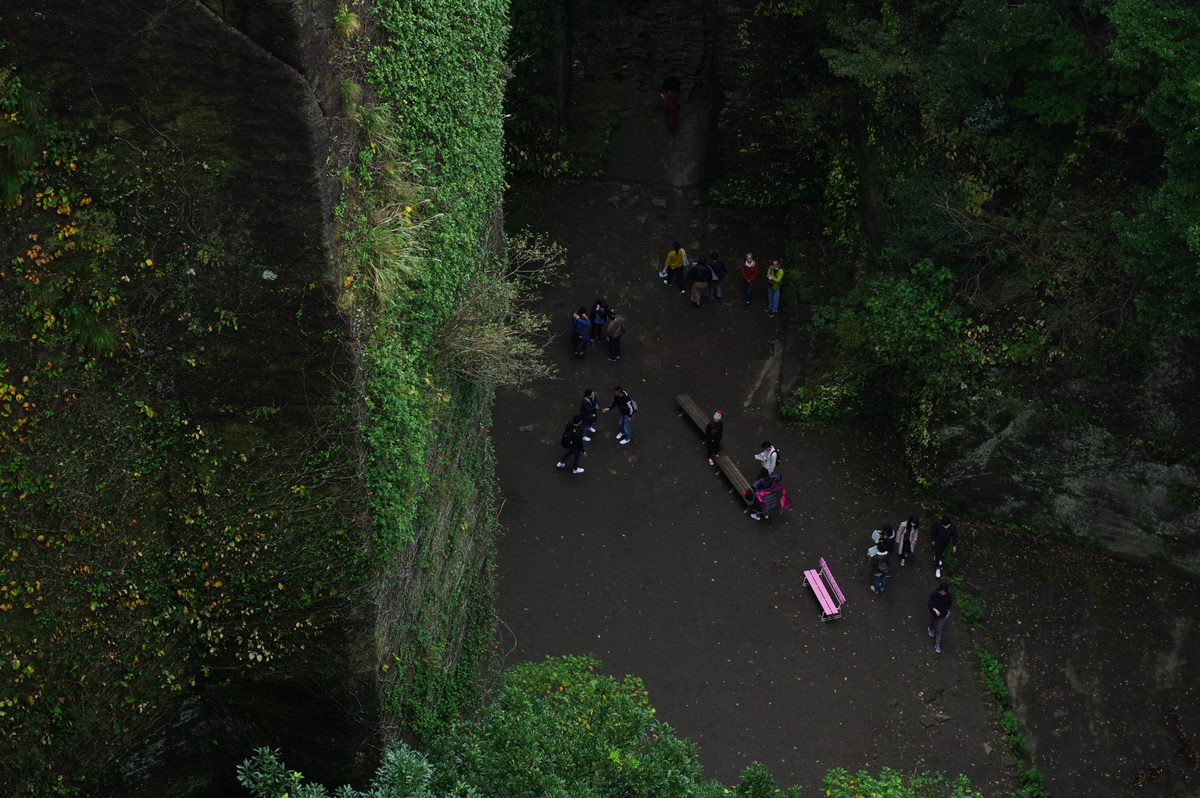 f:id:blue_rock53:20201130214133j:plain