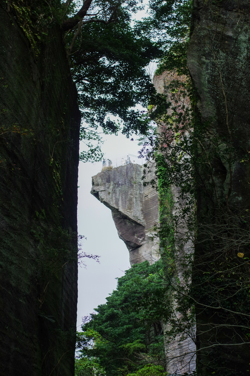 f:id:blue_rock53:20201130214205j:plain