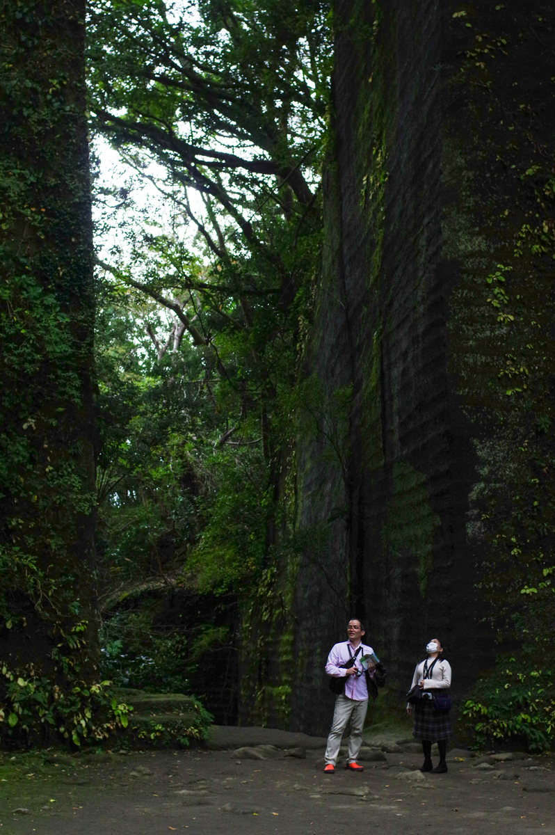 f:id:blue_rock53:20201130214248j:plain