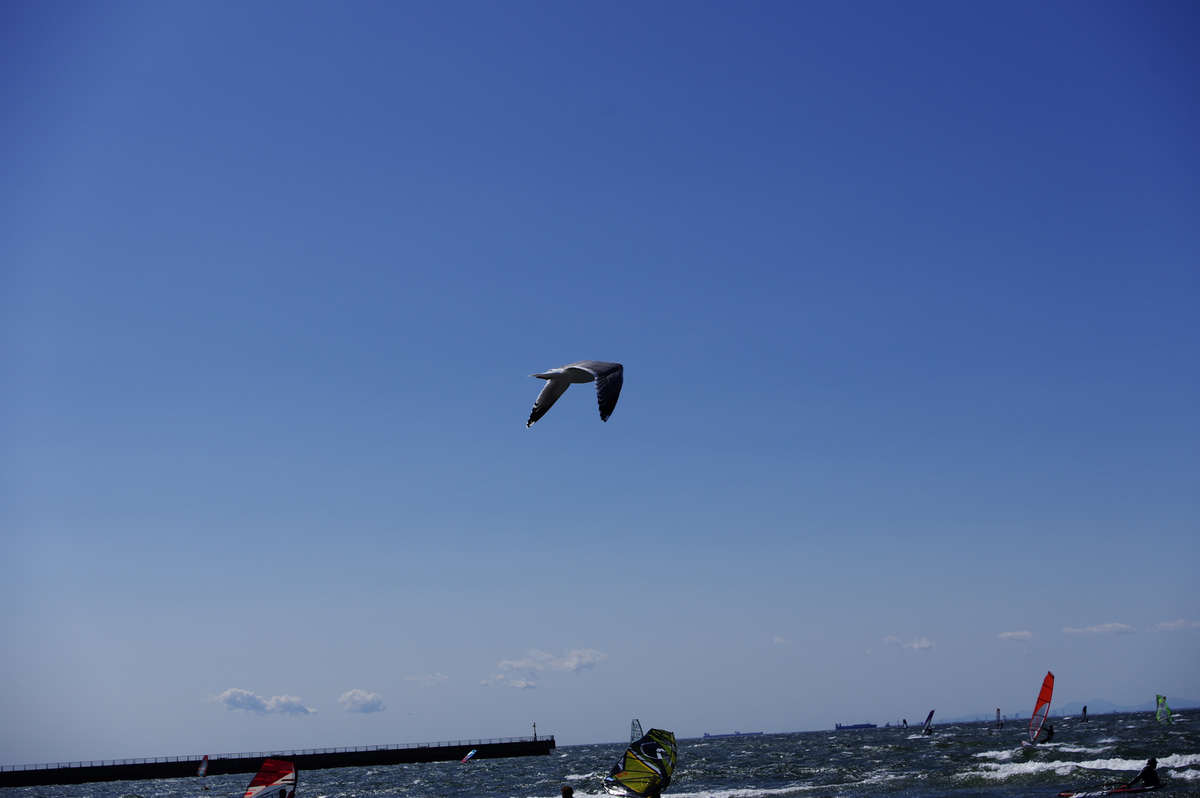 f:id:blue_rock53:20210315124157j:plain