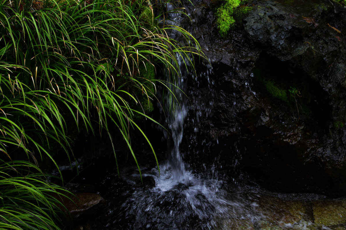 f:id:blue_rock53:20210506225740j:plain