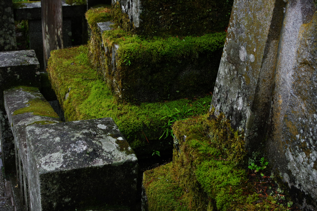 f:id:blue_rock53:20210506230244j:plain