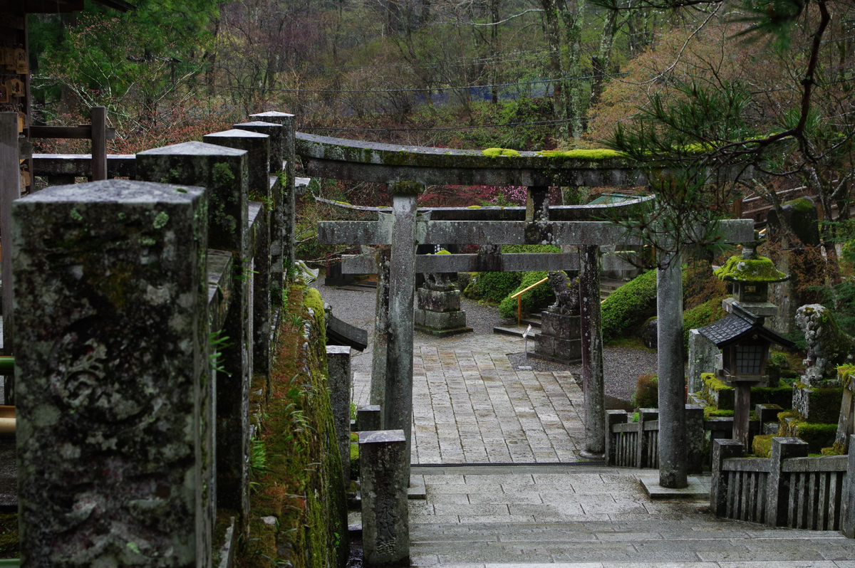 f:id:blue_rock53:20210506230252j:plain