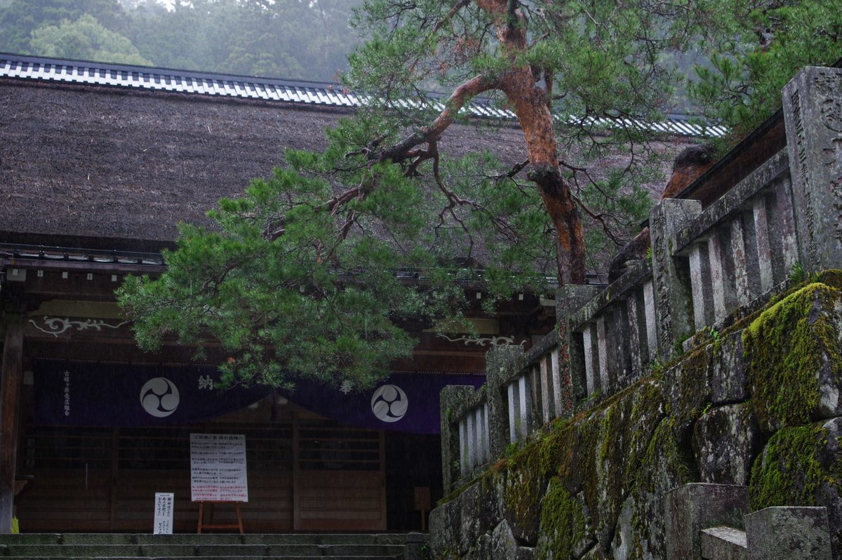 f:id:blue_rock53:20210506230259j:plain