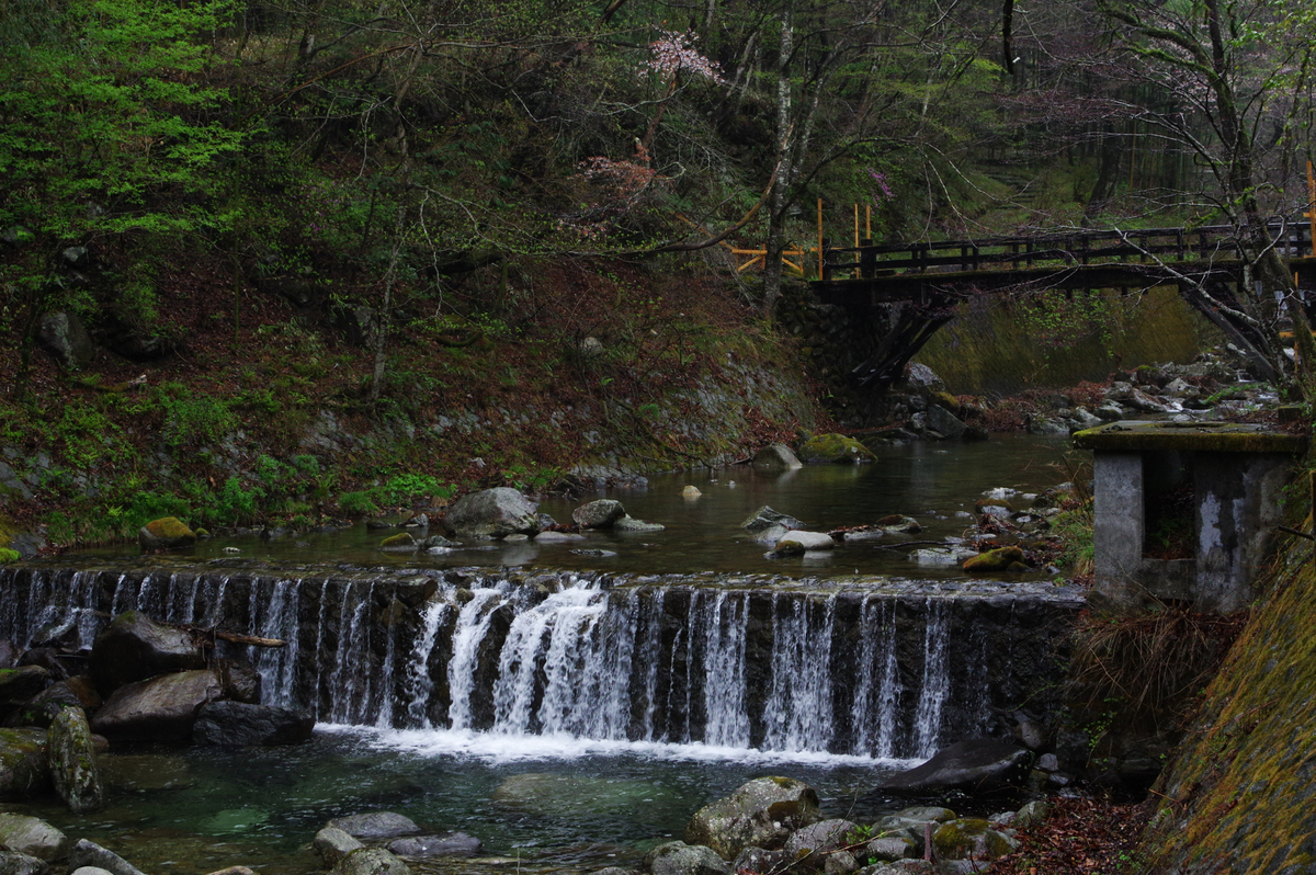 f:id:blue_rock53:20210506230658j:plain