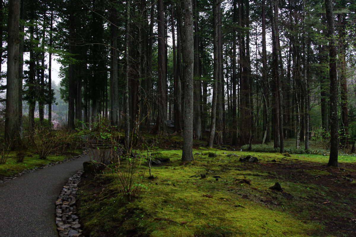 f:id:blue_rock53:20210506230718j:plain