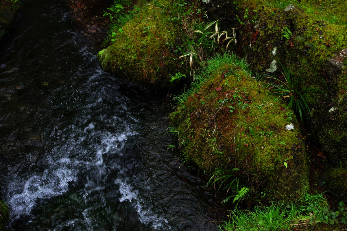 f:id:blue_rock53:20210506230901j:plain