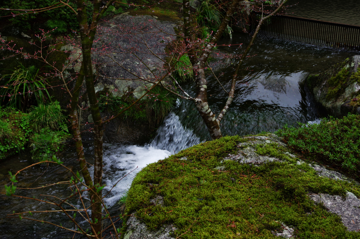 f:id:blue_rock53:20210506230911j:plain