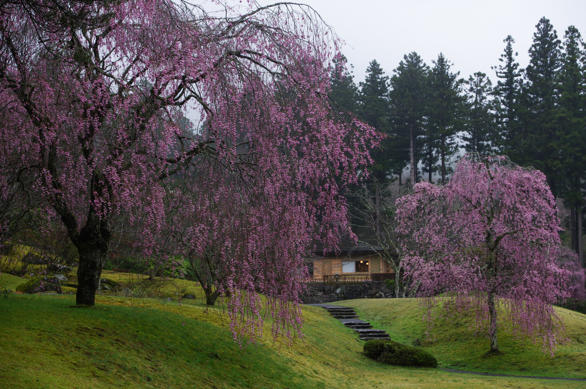 f:id:blue_rock53:20210506231023j:plain