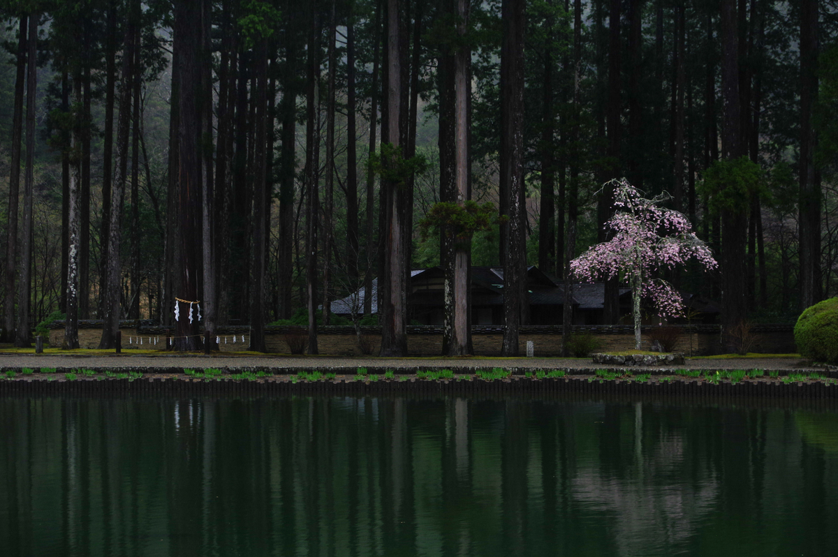 f:id:blue_rock53:20210506231032j:plain