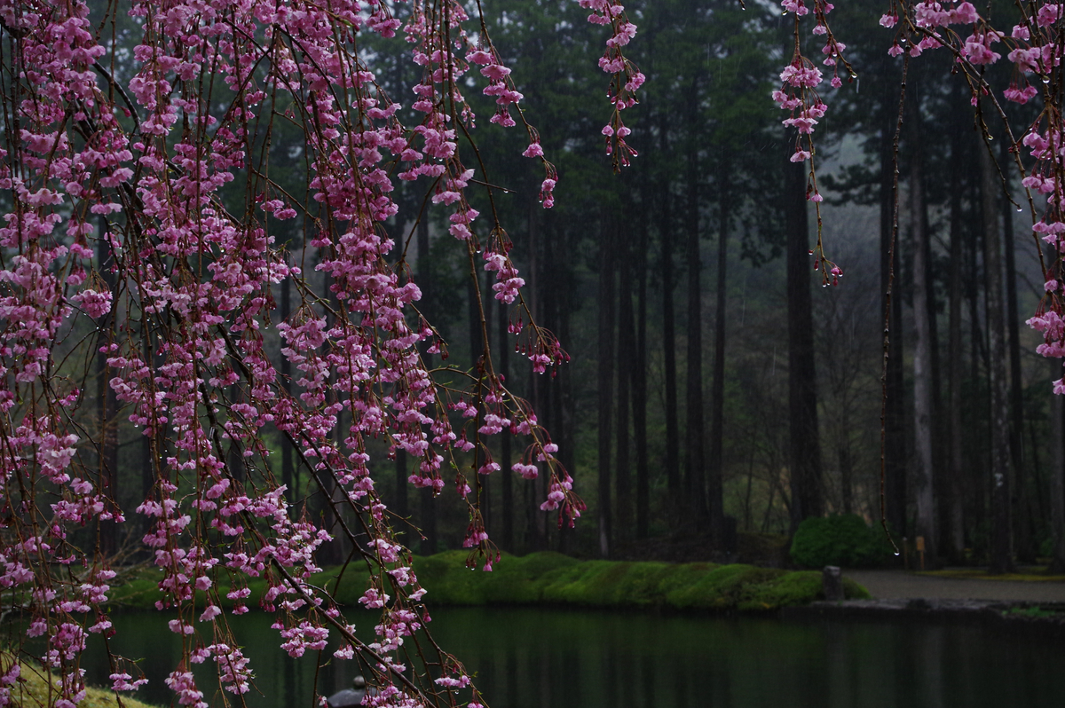 f:id:blue_rock53:20210506231210j:plain