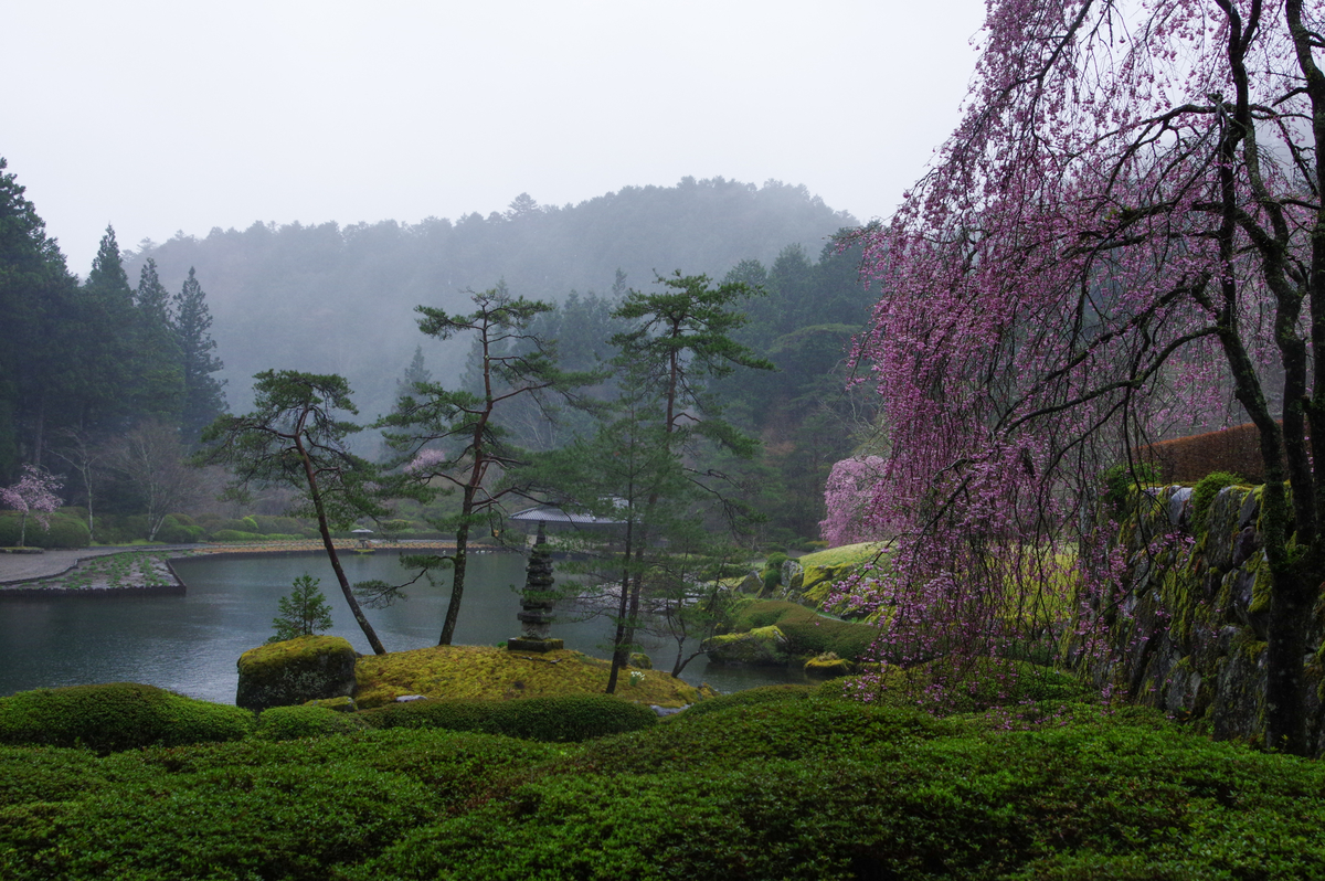 f:id:blue_rock53:20210506231228j:plain