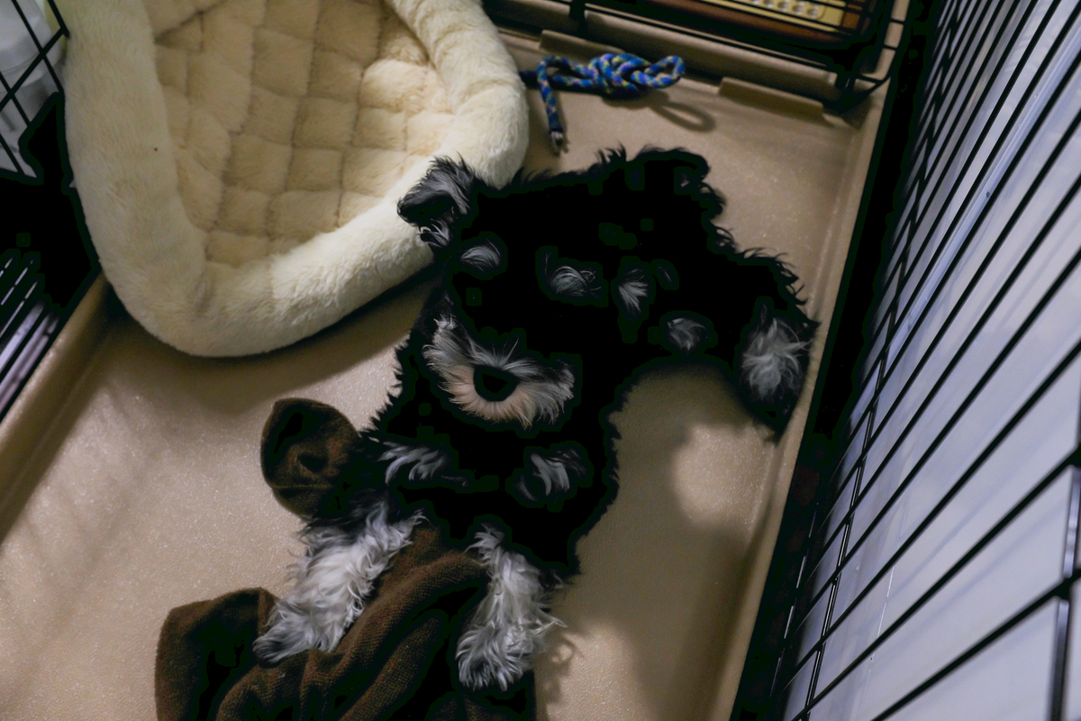 f:id:blue_rock53:20210530212348j:plain