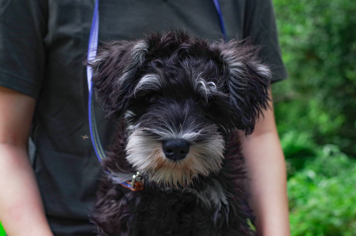 f:id:blue_rock53:20210530213514j:plain