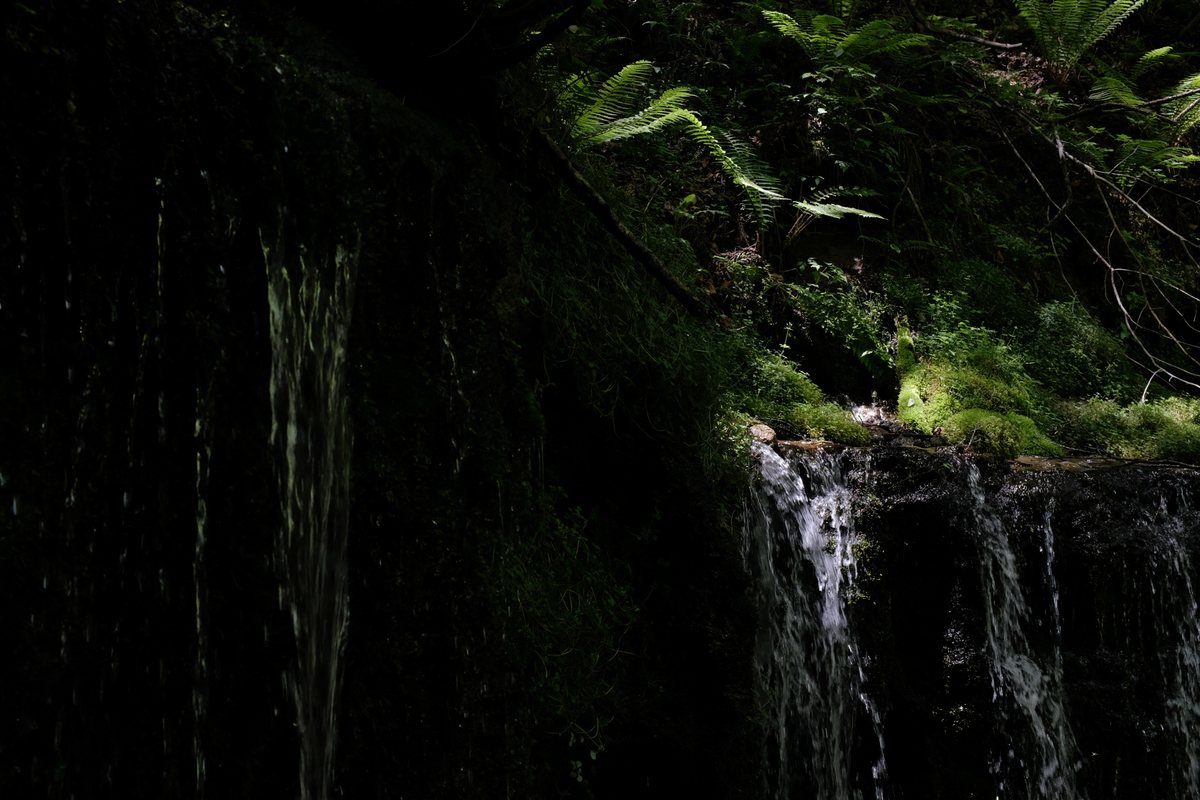 f:id:blue_rock53:20210610213508j:plain