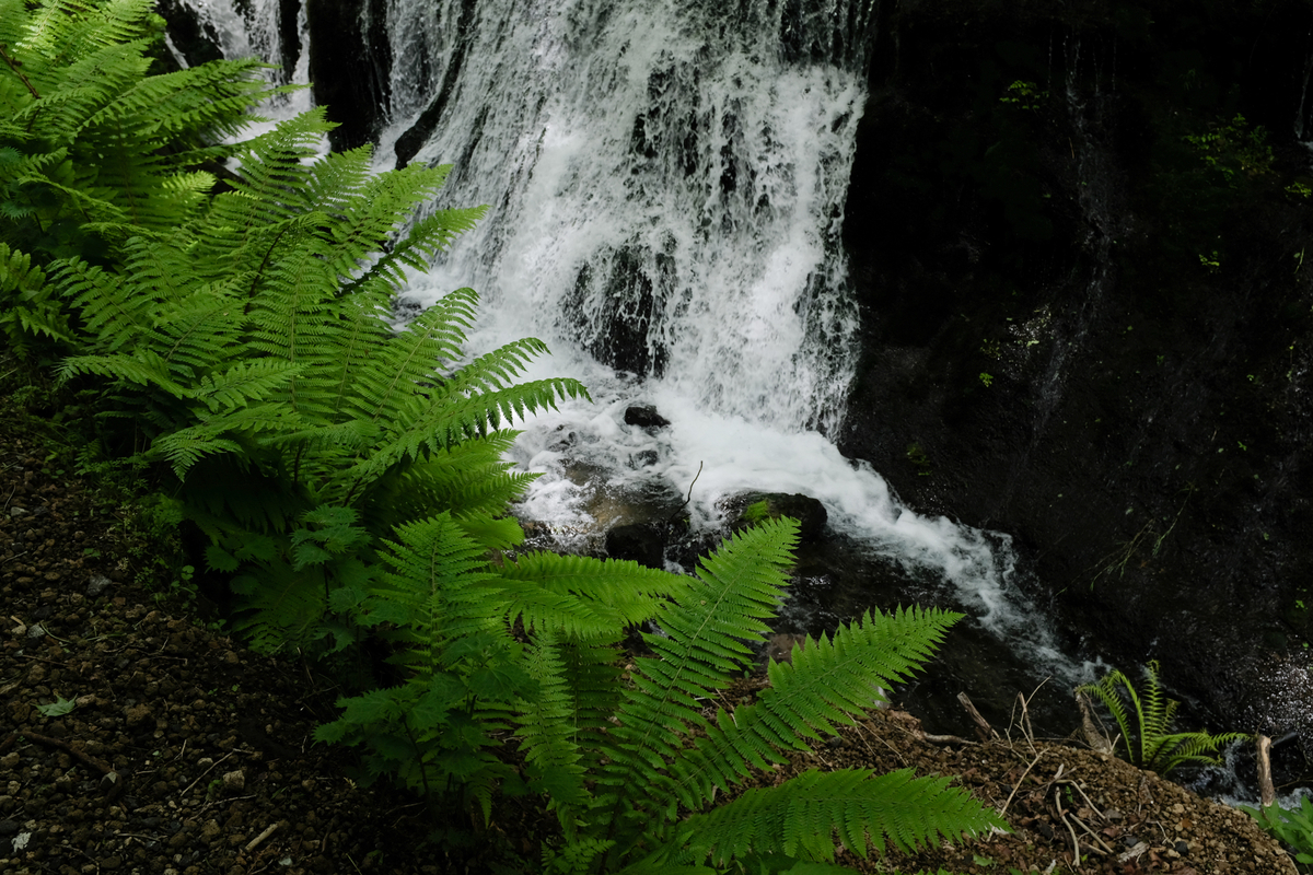 f:id:blue_rock53:20210610225009j:plain