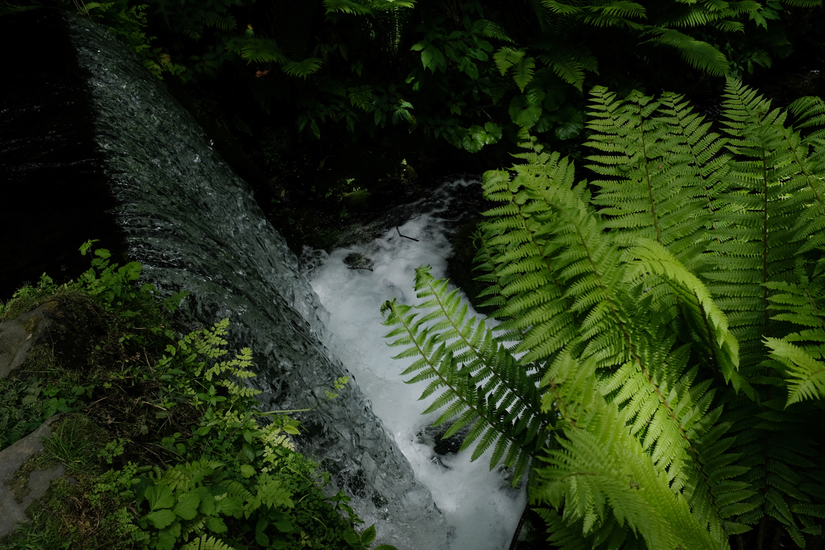 f:id:blue_rock53:20210610225015j:plain