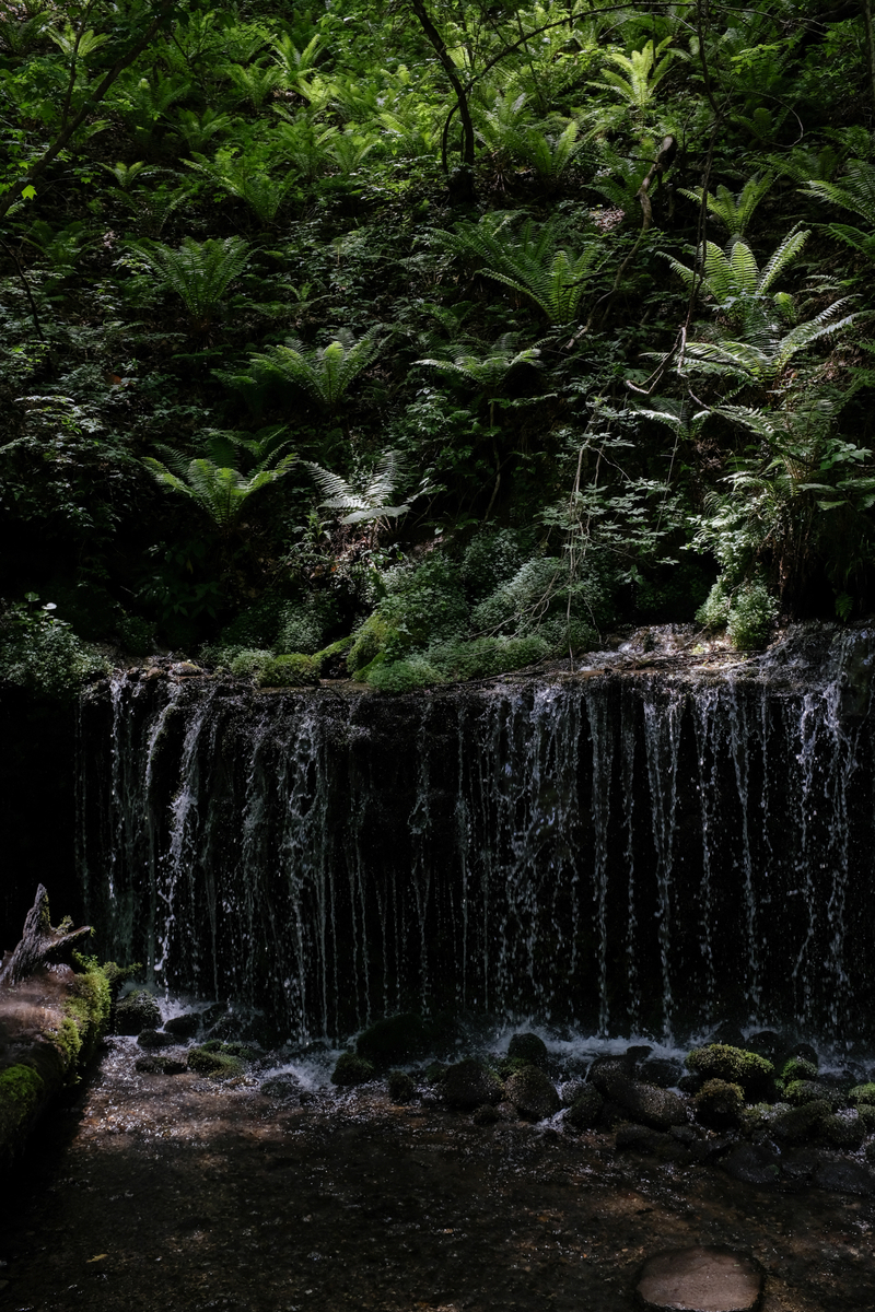 f:id:blue_rock53:20210610225134j:plain