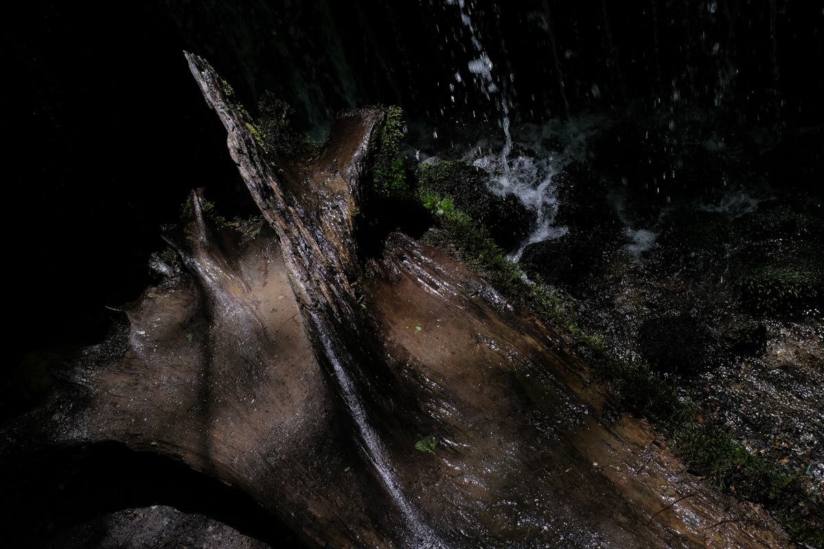 f:id:blue_rock53:20210610225151j:plain