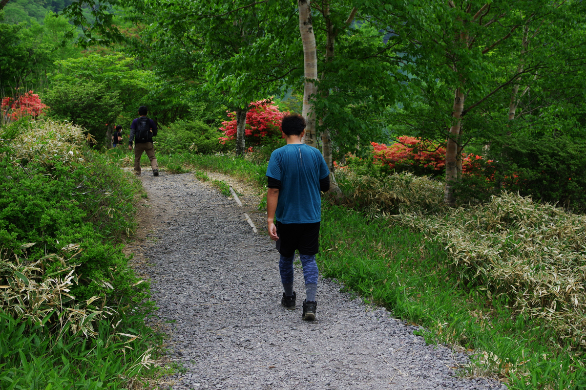 f:id:blue_rock53:20210620101750j:plain