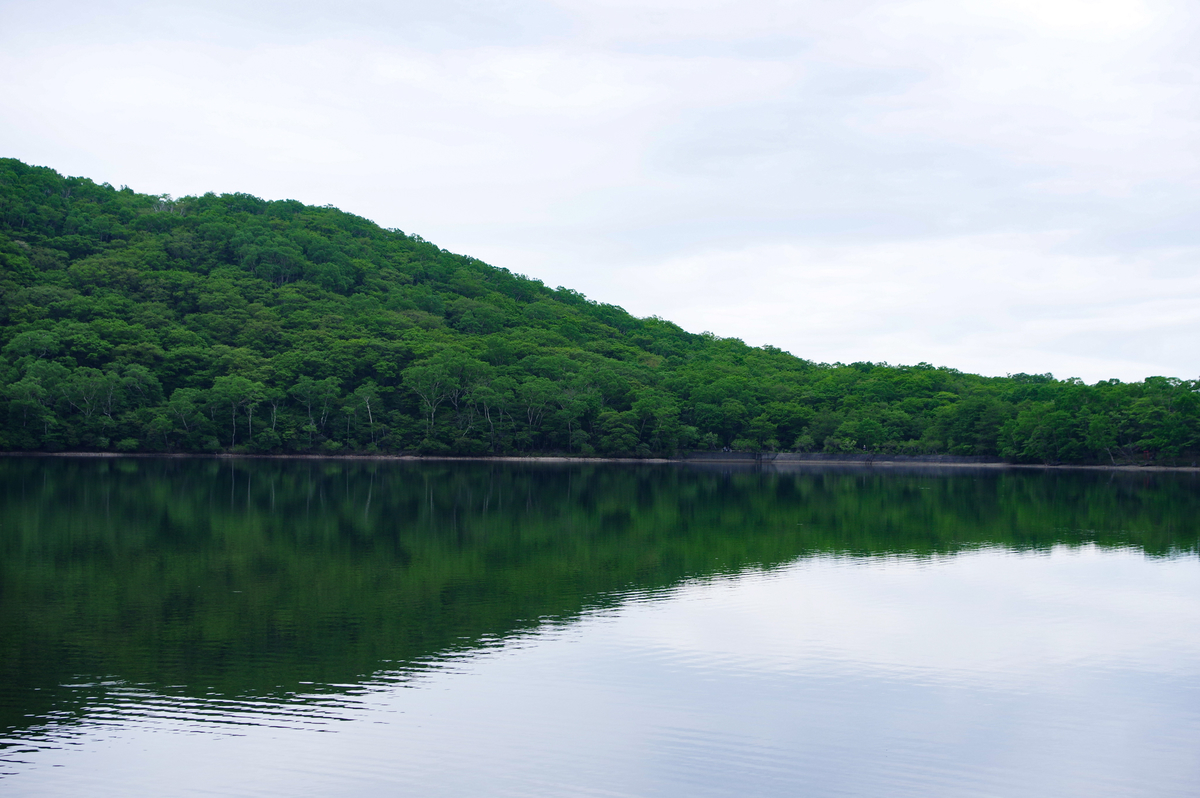 f:id:blue_rock53:20210620102116j:plain