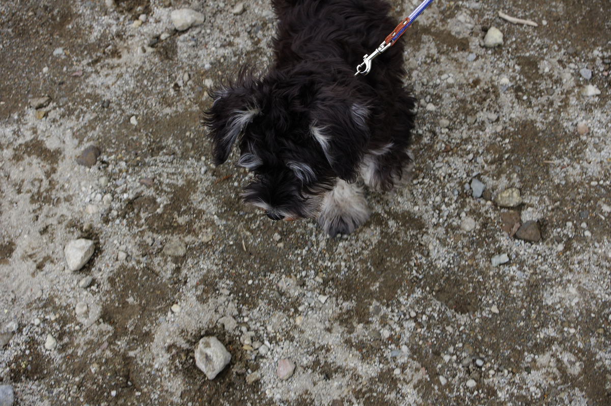 f:id:blue_rock53:20210620102525j:plain