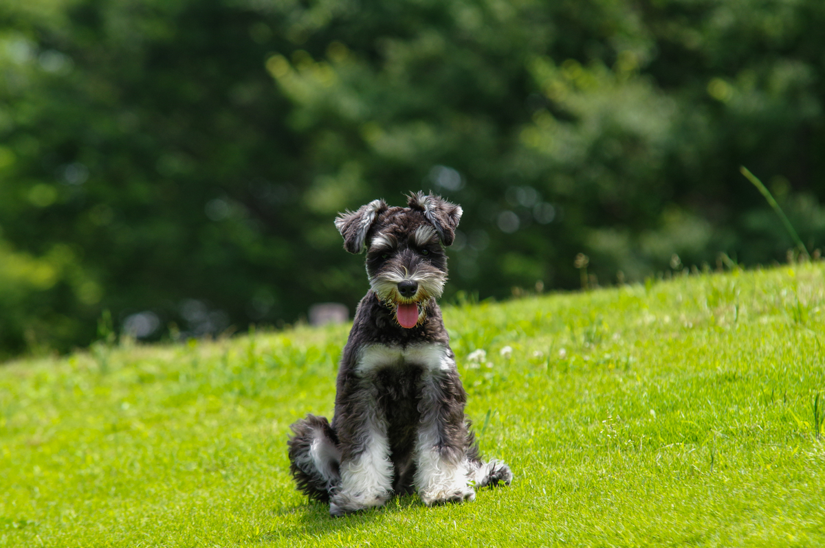 f:id:blue_rock53:20210627120315j:plain