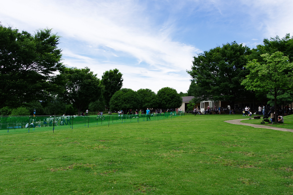 f:id:blue_rock53:20210627120401j:plain