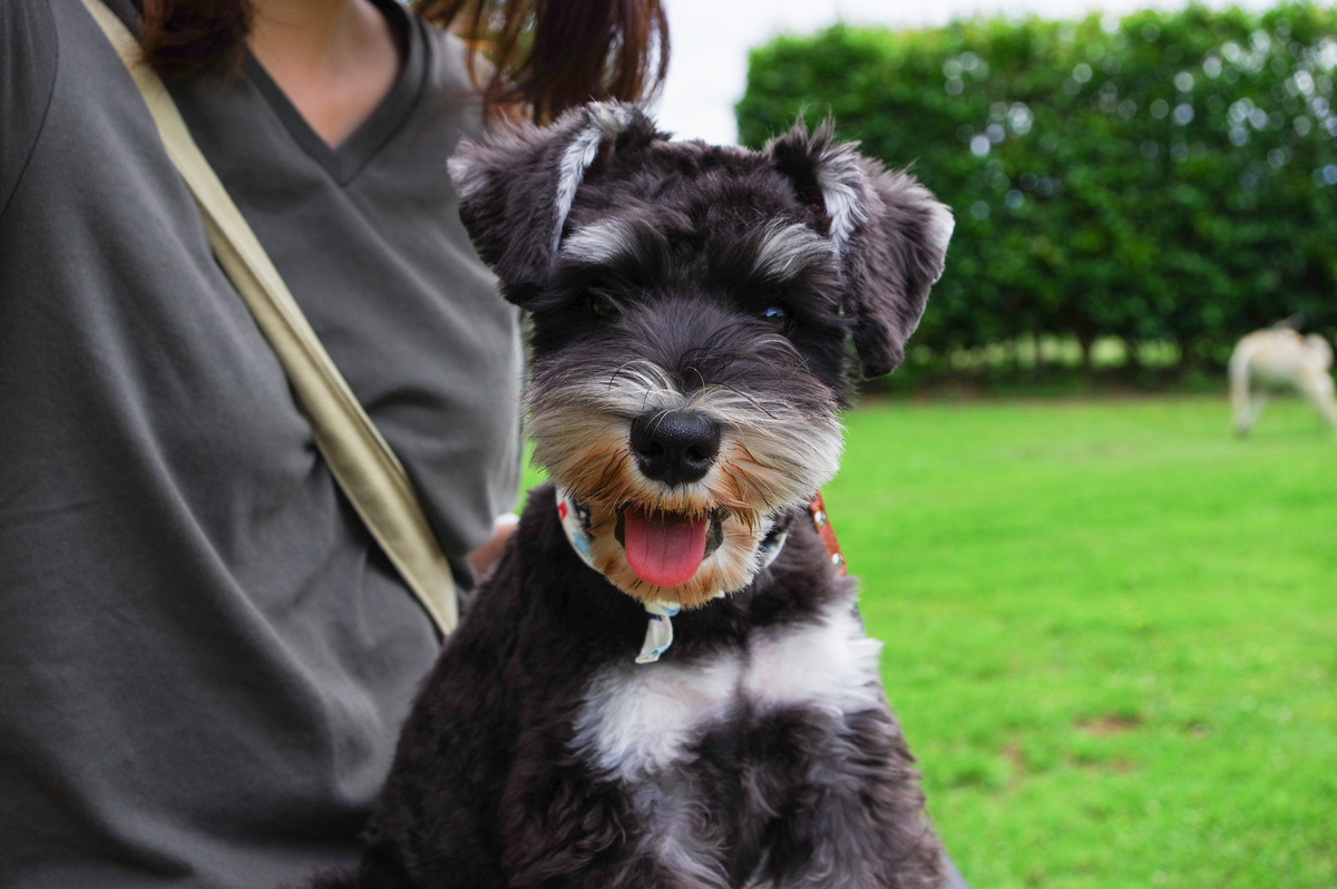 f:id:blue_rock53:20210627120438j:plain